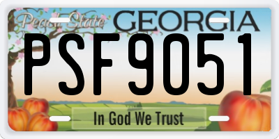 GA license plate PSF9051