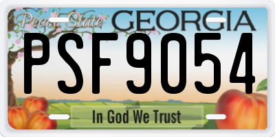 GA license plate PSF9054