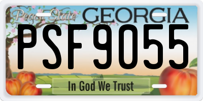 GA license plate PSF9055