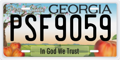 GA license plate PSF9059