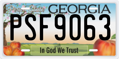 GA license plate PSF9063