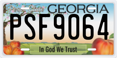 GA license plate PSF9064