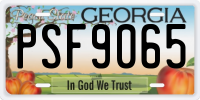 GA license plate PSF9065