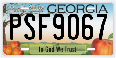 GA license plate PSF9067