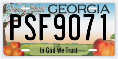 GA license plate PSF9071