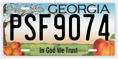 GA license plate PSF9074