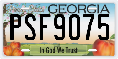 GA license plate PSF9075
