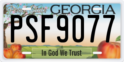 GA license plate PSF9077