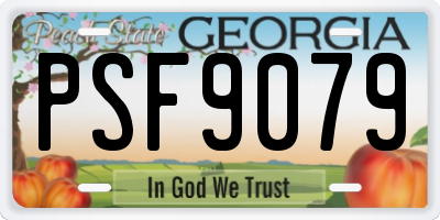 GA license plate PSF9079