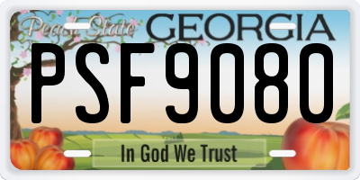 GA license plate PSF9080
