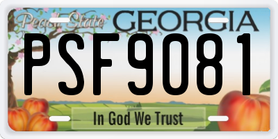 GA license plate PSF9081