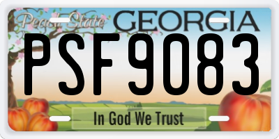 GA license plate PSF9083