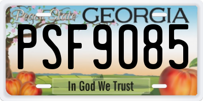 GA license plate PSF9085