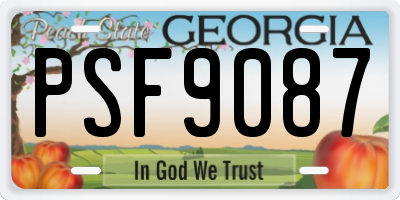GA license plate PSF9087