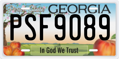 GA license plate PSF9089