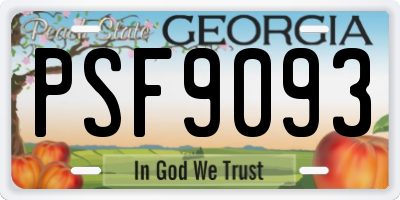 GA license plate PSF9093