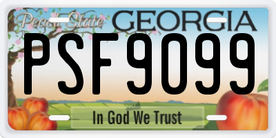 GA license plate PSF9099