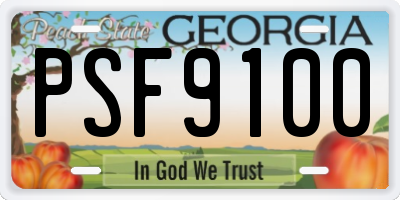GA license plate PSF9100