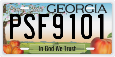 GA license plate PSF9101