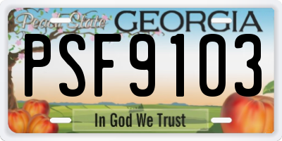 GA license plate PSF9103