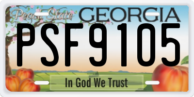 GA license plate PSF9105