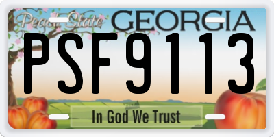GA license plate PSF9113
