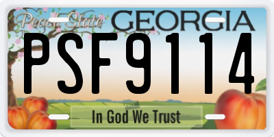 GA license plate PSF9114