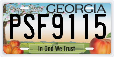 GA license plate PSF9115