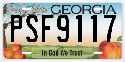 GA license plate PSF9117