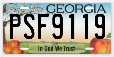 GA license plate PSF9119