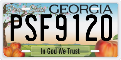 GA license plate PSF9120