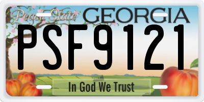 GA license plate PSF9121