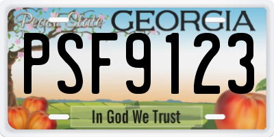GA license plate PSF9123