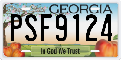 GA license plate PSF9124