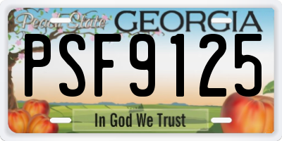 GA license plate PSF9125