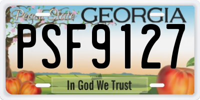 GA license plate PSF9127
