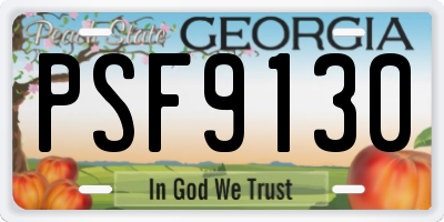 GA license plate PSF9130