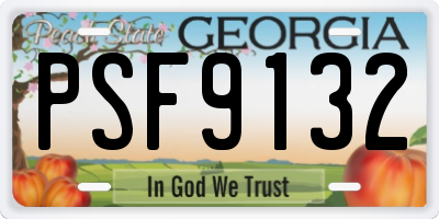 GA license plate PSF9132