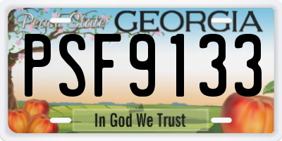 GA license plate PSF9133