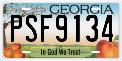 GA license plate PSF9134