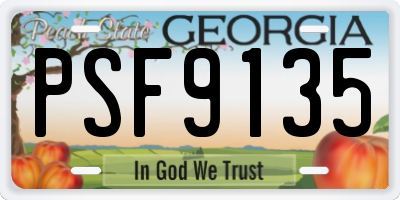 GA license plate PSF9135