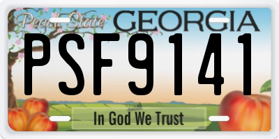GA license plate PSF9141