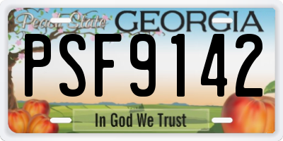 GA license plate PSF9142