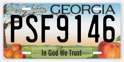 GA license plate PSF9146