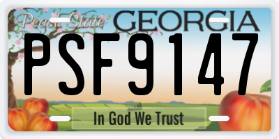 GA license plate PSF9147
