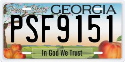 GA license plate PSF9151