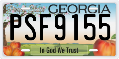 GA license plate PSF9155