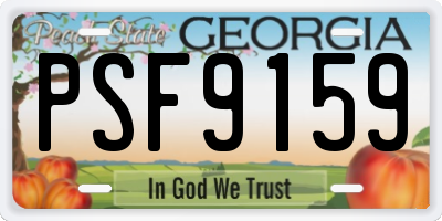 GA license plate PSF9159