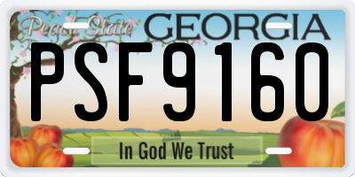 GA license plate PSF9160