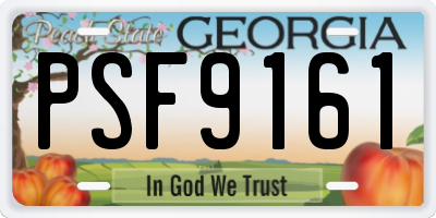 GA license plate PSF9161